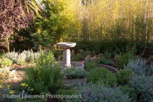 Side of herb garden during sunset on Billy Goodnick garden tour.