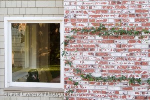 A dog waits in the window as Billy Goodnick gives us a garden tour.