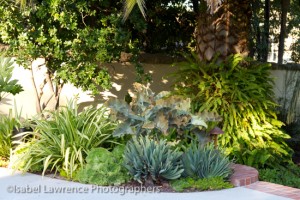 Lots of gorgeous foliage in this garden bed designed by Billy Goodnick.