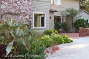 A pretty garden bed designed by Billy Goodnick.