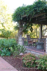 This pergola is covered with wisteria on this Billy Goodnick garden tour.