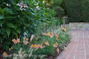 A flower bed with peach and pink flowers designed by Billy Goodnick.