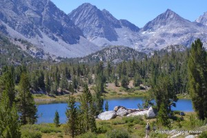 Chicken Foot Lake has wildflowers of the eastern sierras