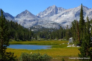 Marsh Lake in Little Lakes Valley has wildflowers of the eastern sierras.