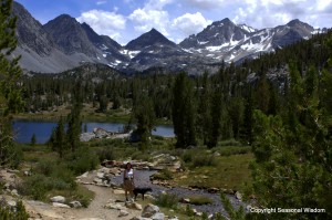 Heart Lake has wildflowers of the eastern sierras