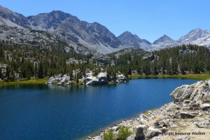 Chicken Foot Lake has Wildflowers of the Eastern Sierras