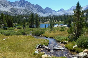 Heart Lake in 2013 still had wildflowers of the Eastern Sierras