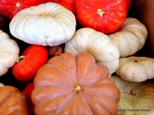 Musquee De Provence are among the unusual pumpkins shown here