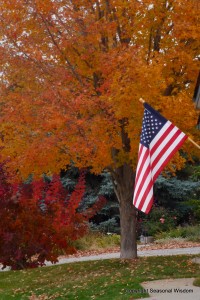 fall garden with pretty tree and American flag