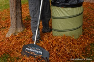 Man rakes fall leaves in garden