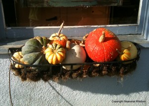 Pretty fall garden container with winter squashes