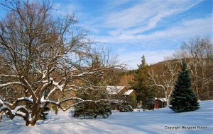 This winter garden belongs to Margaret Roach.