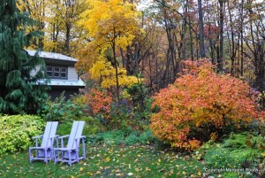 The fall garden of Margaret Roach