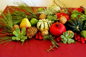 Succulents and air plants in seasonal tablescape