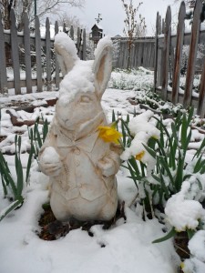 Bunny statue in snow with daffodiles