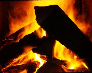 The Firewood Poem tells which woods burn like these logs