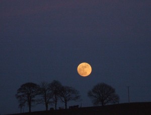 Post image for Full Moon Names of the Year