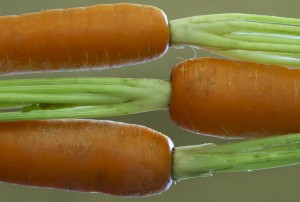 Plants with Benefits have aphrodisiac shapes like carrots. 