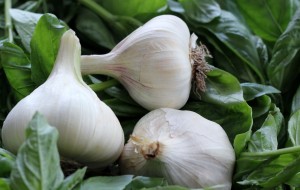 Plants with Benefits include garlic, which increases blood flow to body organs.