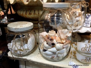 Seashells stored in large glass jars were found at vintage garden market.