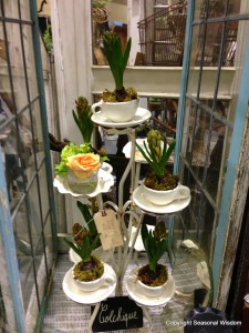 Vintage garden market with bulbs planted in tea cups