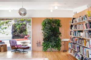 Living wall in Indoor Plant Decor