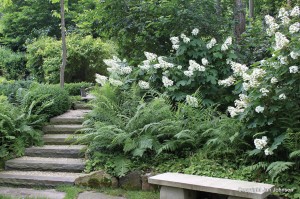 These stairs lead to a power spot in the garden.