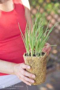 Woman holds baby onions