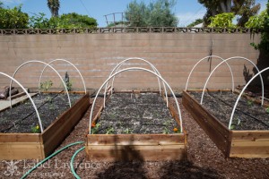 Raised bed with drip irrigation system