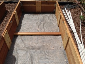 Netting in raised bed to keep out gophers