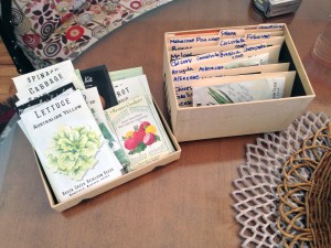 Seeds organized by plant families