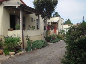 Before photo of water-wise garden