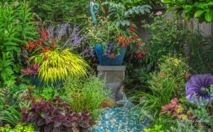 Fine foliage sparkles in this northwestern garden