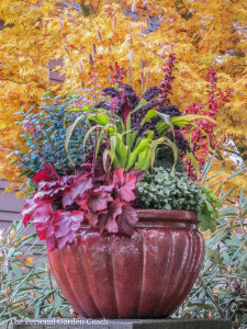 Colorful container garden with fine foliage