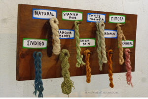 natural dyes used for cotton and wool at Middleton Plantation Charleston SC