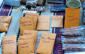 Veggie seeds for seed swap