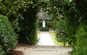 Statue at Middleton Place in Charleston SC