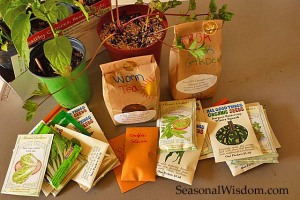 Seeds and worm teas at seed swap
