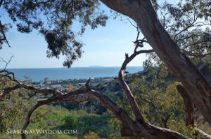 Ventura Botanical Gardens view of city and ocean