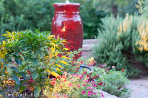red fountain in 20/30 something garden guide