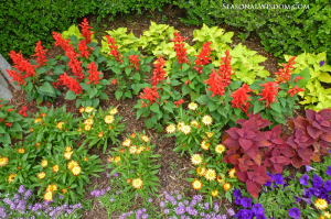 Colorful garden bed by P. Allen Smith