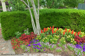 colorful garden bed by P. Allen Smith