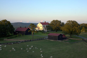 Moss Mountain Farm with P. Allen Smith