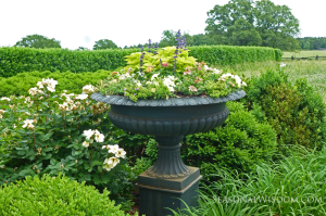 urn with flowers at P. Allen Smith Moss Mountain Farm