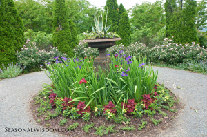 Urn with irises and annuals at P. Allen Smith