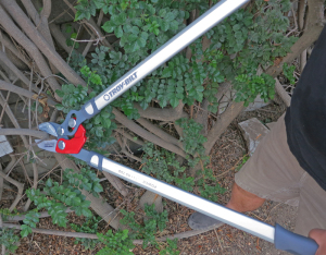 Troy-Bilt Anvil Pruner