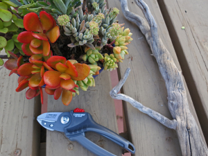 Troy-Bilt Anvil Pruner