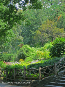 shakespeare garden central park in september 