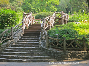 stairway-shakespeare garden