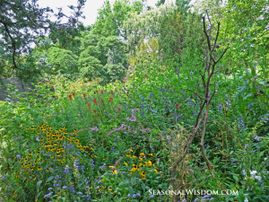 Flowers with rustic trellis shakespeare garden central park